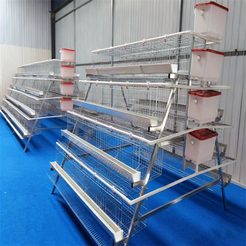 Layer Chicken Cage Egg Chicken Cage Poultry A Type Cage For Poultry Layer