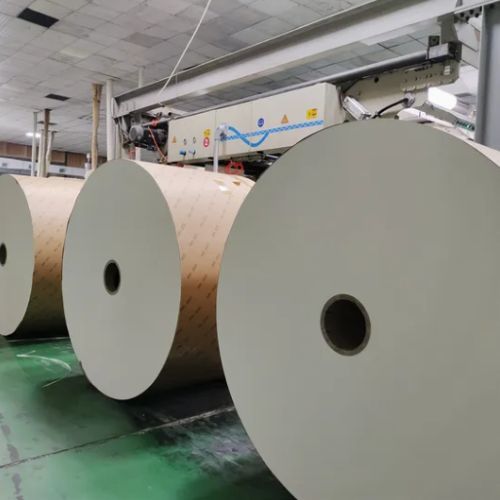 Flexography Offset Printing Paper Roll Custom logo Coffee Cup PLA Coated Paper Roll for Disposable Coffee Paper Cup
