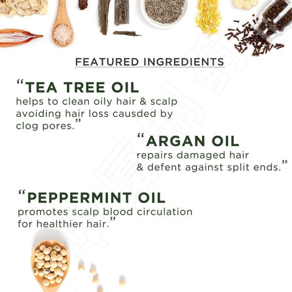 Private Label Logo Tea Tree Hair Shampoo 33.8oz For Dry And Damaged Hair