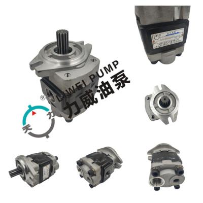 Bidirectional Gear Forklift Hydraulic Pump 91E71-10200 ODM