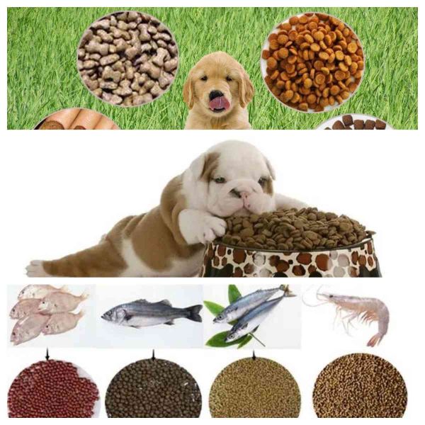 Los pescados del animal doméstico alimentan el equipo de producción que los pescados flotantes económicos de energía alimentan la cadena de producción máquina del extrusor de la alimentación