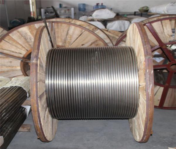 Stainless Steel Coiled Tube for Beverage Cooling Steel Pipe