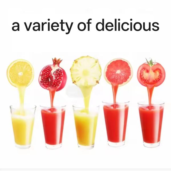 Customized Commercial Juicer with Pulp Retention Fruit and Vegetable Juicer Stainless Steel Industrial Juicer 220V 370W Apple Orange Pear Banana Fruit Juicer