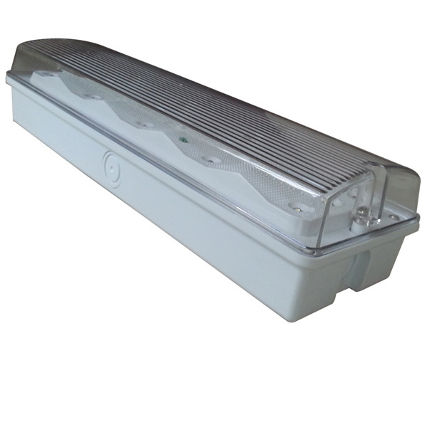 IP65 Waterproof Emergency Light Maintained Non Maintained 220V 240V 50Hz 60Hz Model EL015AM