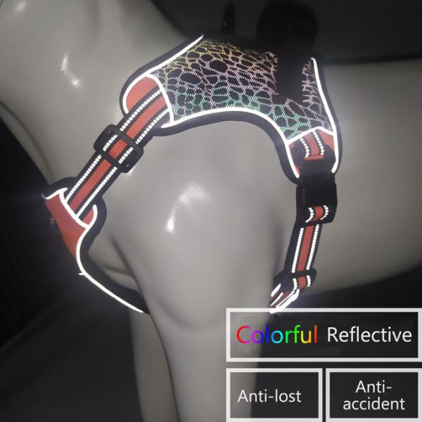 Проводка любимца руководства собаки безопасная сгустила OEM губки отражательной проложенный сеткой