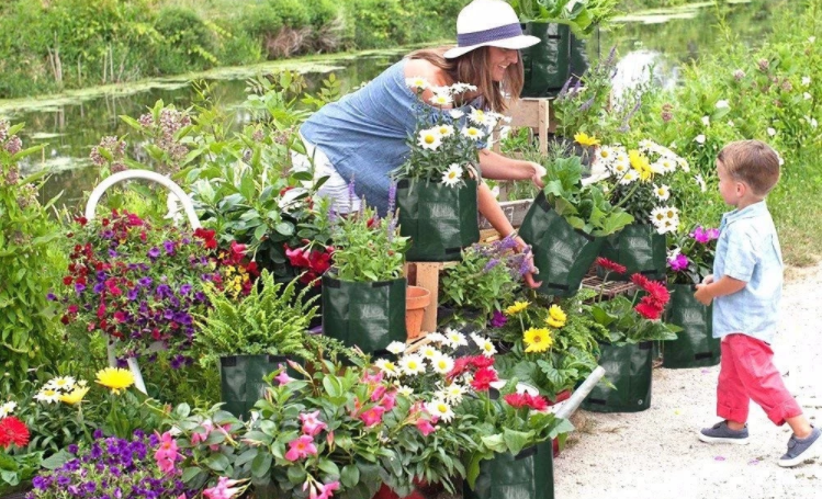 Полиэтиленовые мешки для черного выращивания