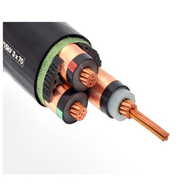                    Premium Quality XLPE Insulated Power Cable for Professional Use             