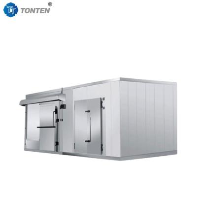 Refrigerator Fruit Seafood Blast Cold Room Freezer Storage 20ft 40ft