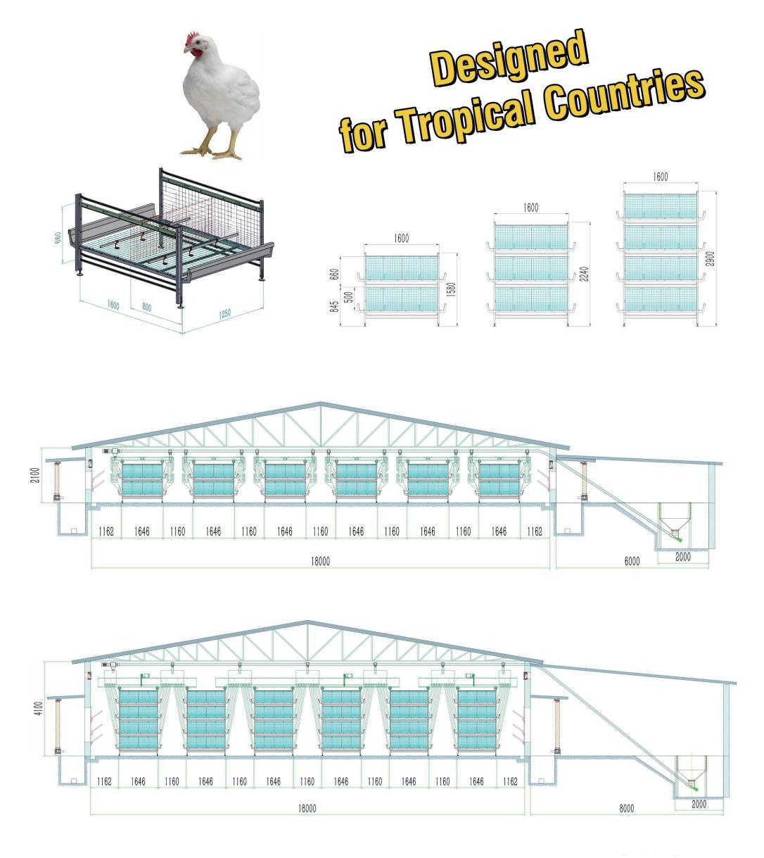 H Type Multi Tiers Manual Harvesting Broiler Cage Equipment