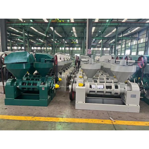 Coconut Automatic Screw Oil Press Machine High Quality Peanut Oil Extrator Cold Press