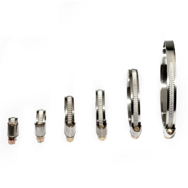 170mm German Type Effective Seal Ss Hose Clamp