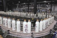 Machine de remplissage de bouteilles automatique de boisson de lait