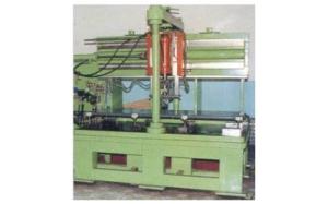 fangsheng co ltd