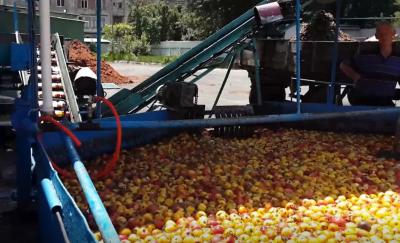 Linha automática completa suco da trasformação de frutos de fruto que faz a máquina a operação fácil