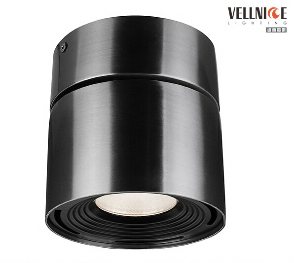 14Watt Brushed Outdoor LED Ceiling Lights With High Waterproof IP44 1050lm