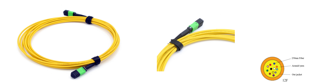 12 Fibers MPO Female To MPO Female Singlemode 3.0mm LSZH MPO Patch Cord