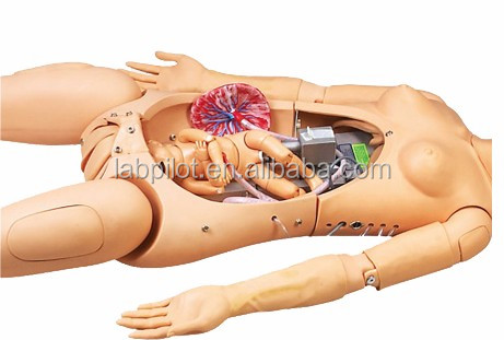 Advanced PVC Obstetrics Skills Training System for Childbirth Emergency Care and Nursing