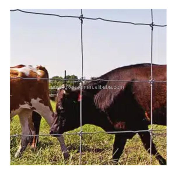8ft Galvanized Grassland Wire Mesh Fiexed Knot Fence for Cattle and Sheep Farming Needs