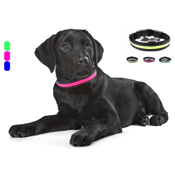 C916 Waterproof High Bright USB Rechargeable Glowing LED Pet Dog Collar For Night Safety