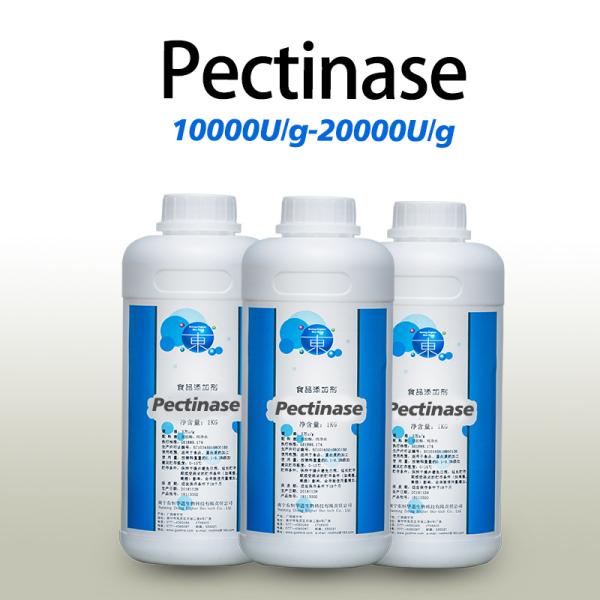 Activité enzymatique personnalisée Pectinase Fruits et légumes Enzymes