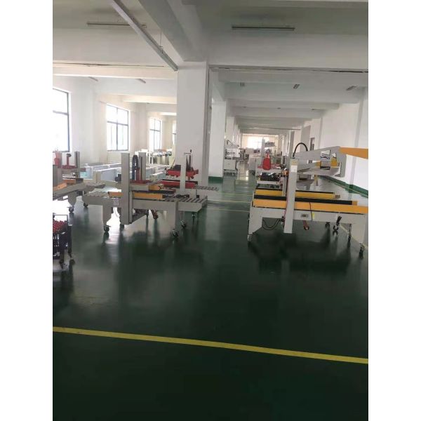 IP65 Packaging Line with Case Carton Bag Box Erector Folding Sealer Palletizer System