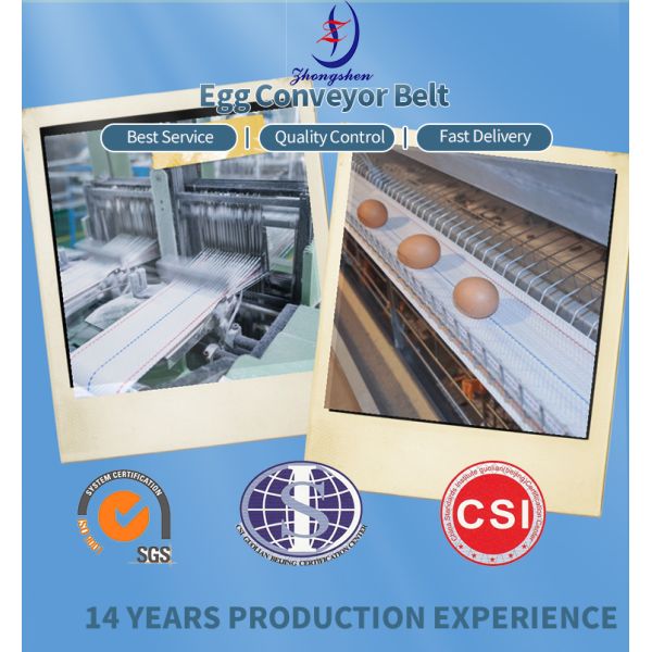 Customized Width Anti-Bacterial High Tenacity Polypropylene Egg Conveyor Belt for Poultry Farms