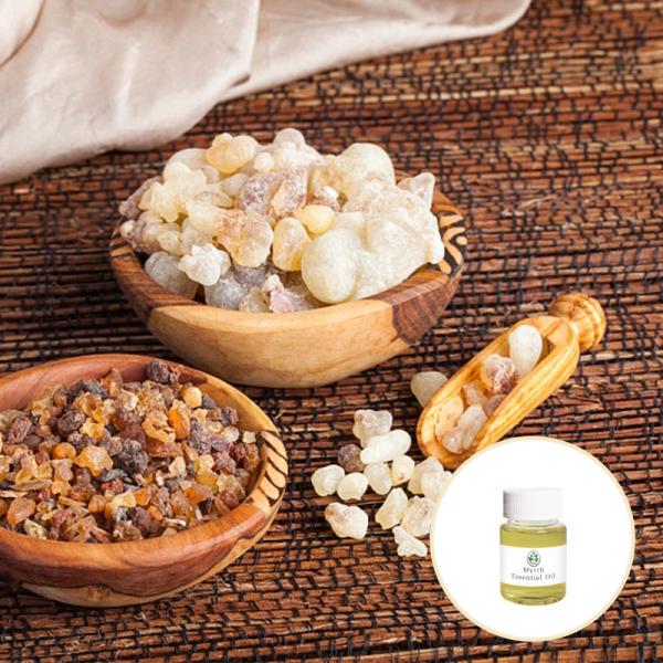 Wholesale Price  Organic Myrrh Essential Oil For Body SPA Cosmetics/Massage