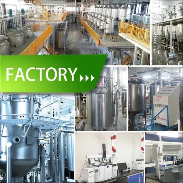 Acidifiants alimentaires industriels - Acide lactique en poudre blanc en vrac CAS 50-21-5