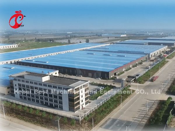 China Export Quality Battery Broiler Chicken Cage Automatic Nigeria Star