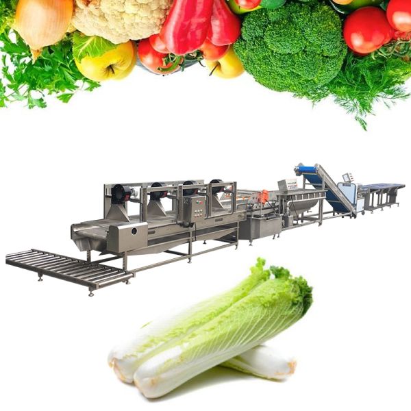 Belt Type 2T/H Vegetable Fruit Washing Machine High Pressure Spray Washing Machine