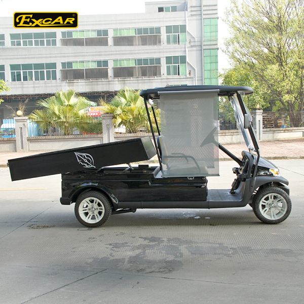 2 Passenger Black Color Golf Food Cart 3.7KW Acim Motor DC System