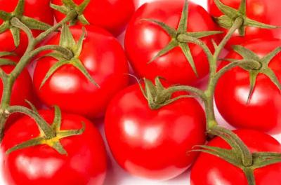 Linha de processamento fresca personalização do puré do tomate do de alta capacidade