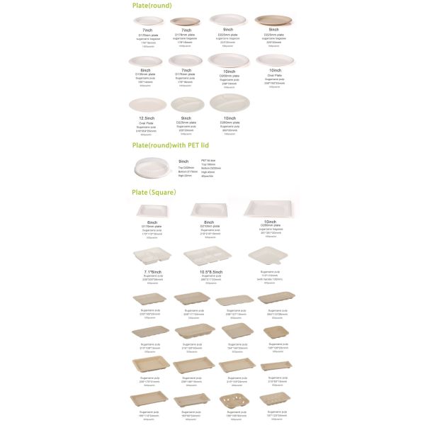 Disposable Compostable Takeaway Bagasse Food Tray