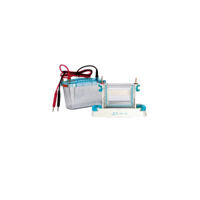 Vertical electrophoresis cell