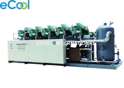 Bizter Low Temperature Screw Parallel Compressor Unit for Vegetable and Fruit Cold Room