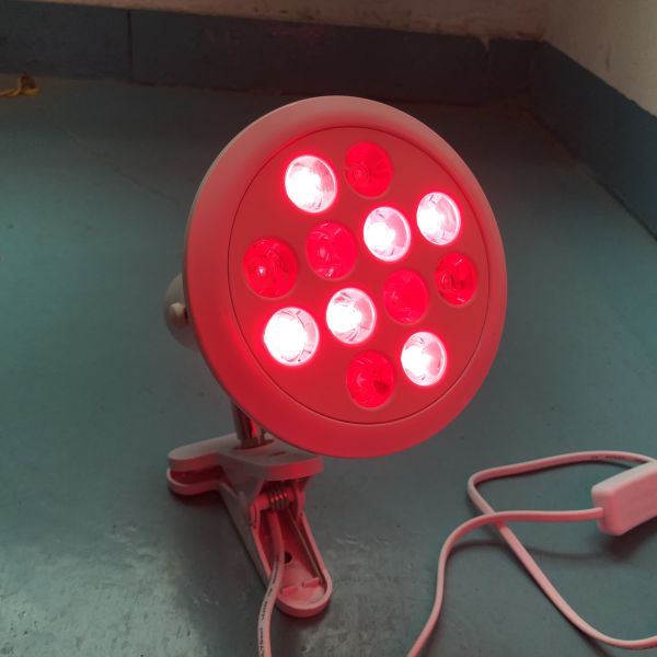 36W 12PCS Infrared LED Light Therapy Infrared Heat Lamp For Back Pain