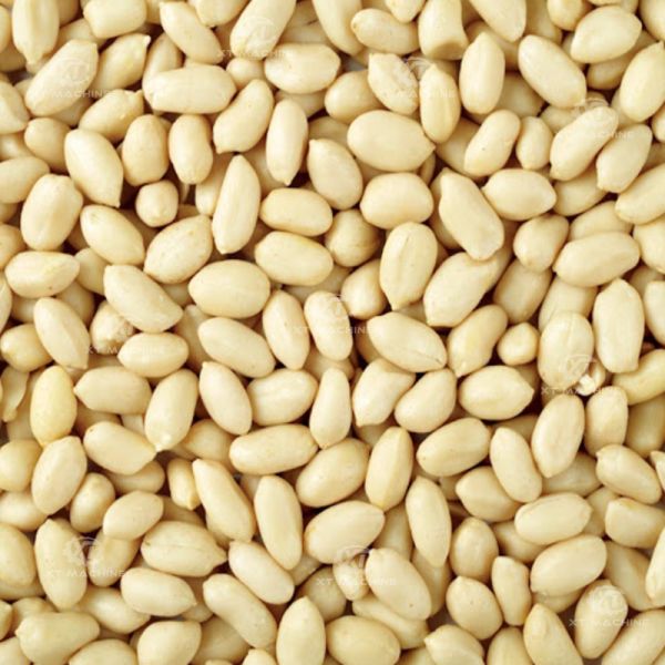 Stainless Steel 304 Food Grade Roasted Peanut Blanching Machine Hazelnut Peeling Machine