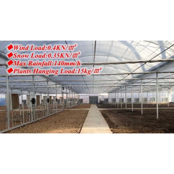 Agricultural Greenhouse Ltd. Presents Large Vertical Hydroponic System for Lettuce
