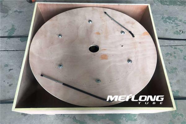 UNS S31603 Capillary Coiled Tubing Thermoplastic Encapsulation Material