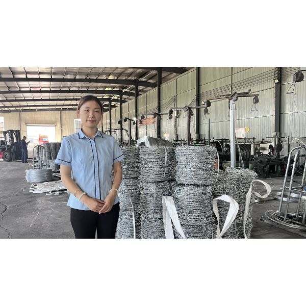Fil barbelé à haute traction galvanisé à chaud 1,6 mm 300 mm