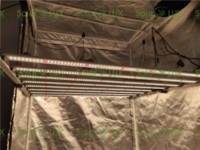 A horticultura vertical do diodo emissor de luz de 1000w EnerMax conduzida cresce a luz