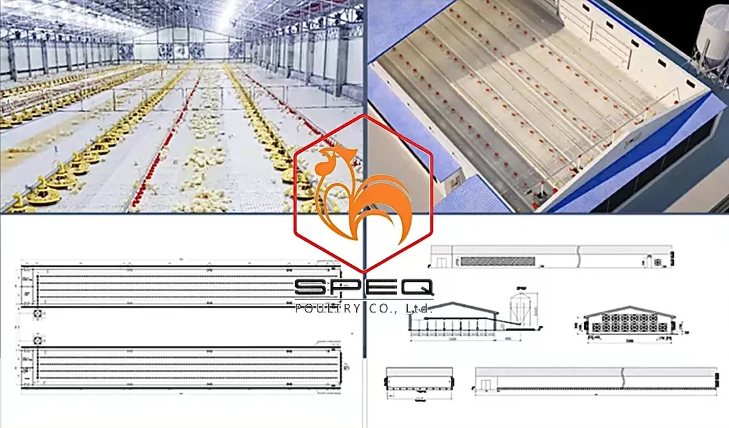 Customizable Poultry Breeding Broiler Equipment Chicken Farm Feeding Line