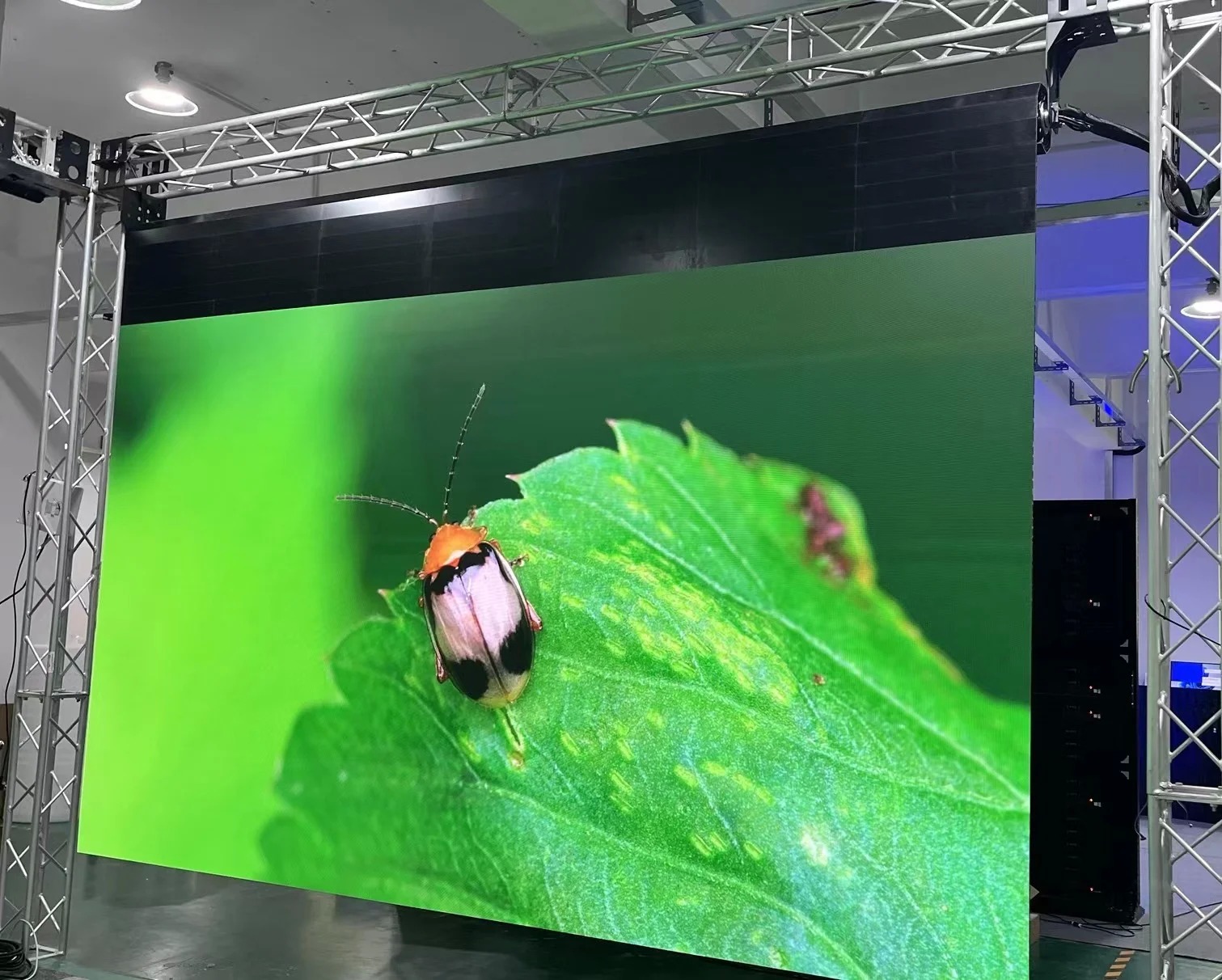 P2.6 Rollable LED Screen with 3840Hz Refresh Rate 1000 kg/m2 Load Bearing and 17Kg/m2 Weight