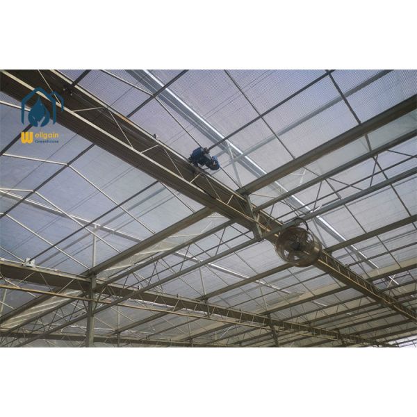 High Pressure Fogging Misting Multi Span Greenhouse Cooling System for Seedling Nursery and Tropical Crops