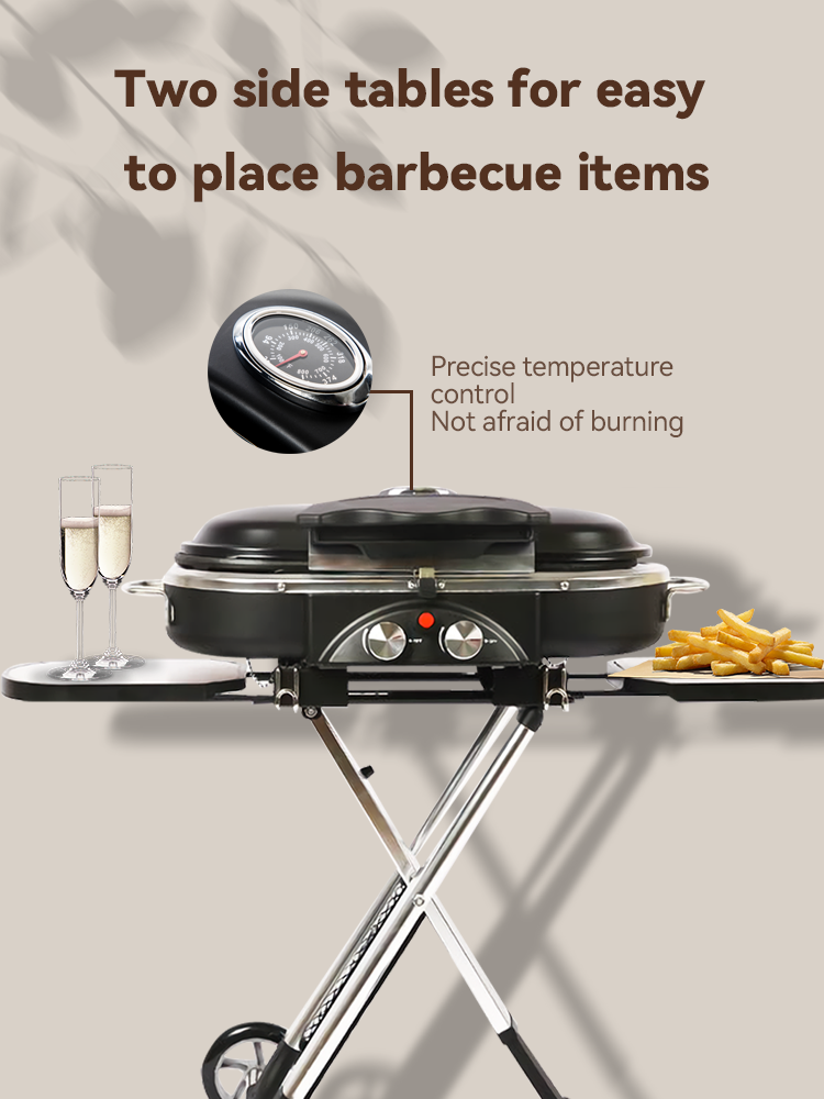 Custom Design Camping Outdoor BBQ Grill Portable Griller Charcoal for Outdoor Cooking