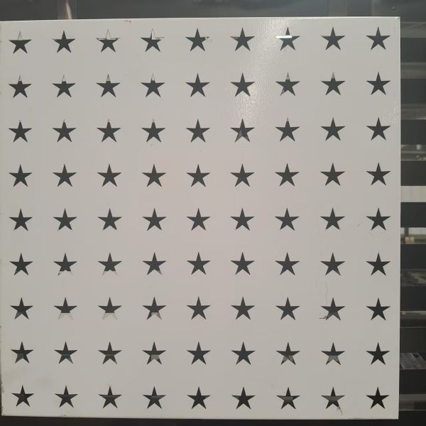 Stainless Steel 304 Perforated Mesh Sheet for Screening and Protective Covers