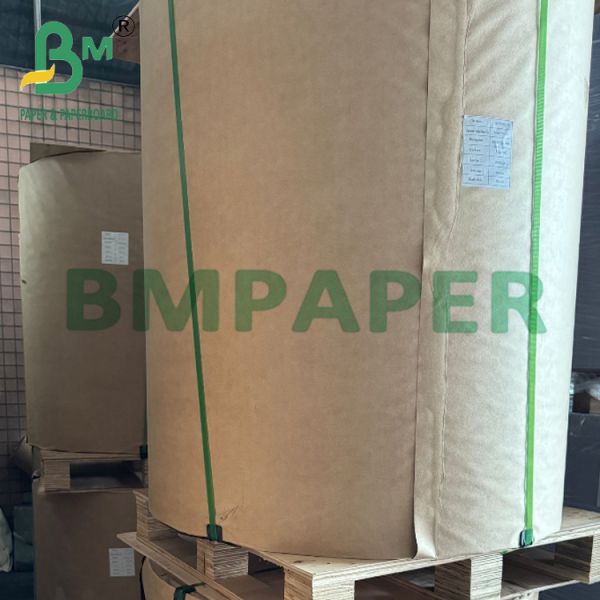 Bol de papel de pulpa de madera biodegradable de 185 g y 270 g para envasado de alimentos