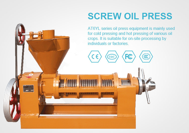 High Capacity Neem Oil Extraction Machine Perfect for Pressing 950KG of Oil Seeds in Pakistan