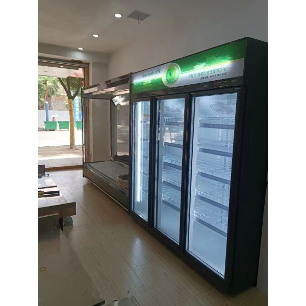 Система охлаждения вентилятора 3 двери Вертикальная стеклянная дверь морозильник с компрессором Wanbao