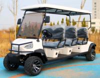 Carrinho de Golf Elétrico Novo Estilo 60V100Ah Bateria de Ácido de Chumbo Novel Design Configuração High End